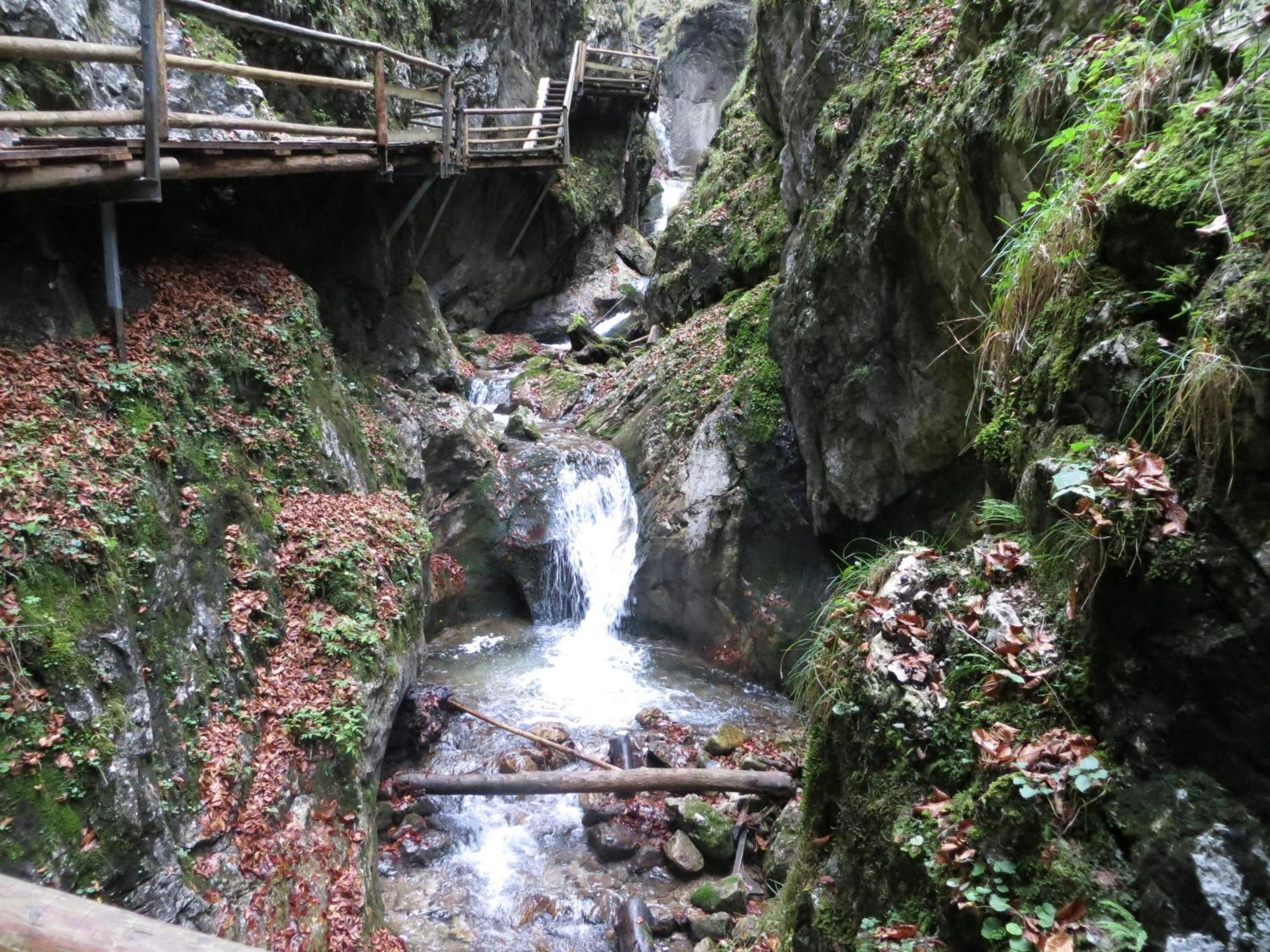 Ferienwohnung Pyhrgasblick Rosenau am Hengstpass Exterior photo
